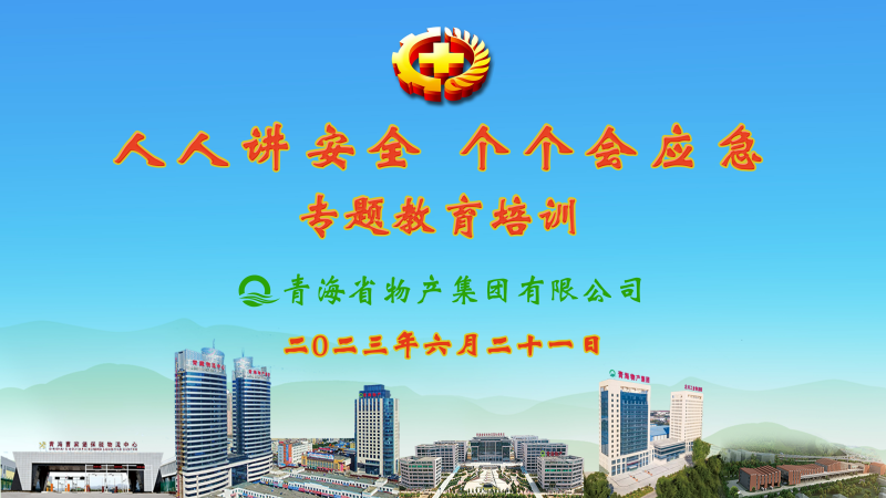 提高安全管理水平 落實(shí)全員安全責(zé)任——集團(tuán)安委會(huì)舉辦2023年“人人講安全，個(gè)個(gè)會(huì)應(yīng)急”專題教育培訓(xùn)